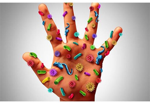 Human papillomavirus lesions are located on the hands