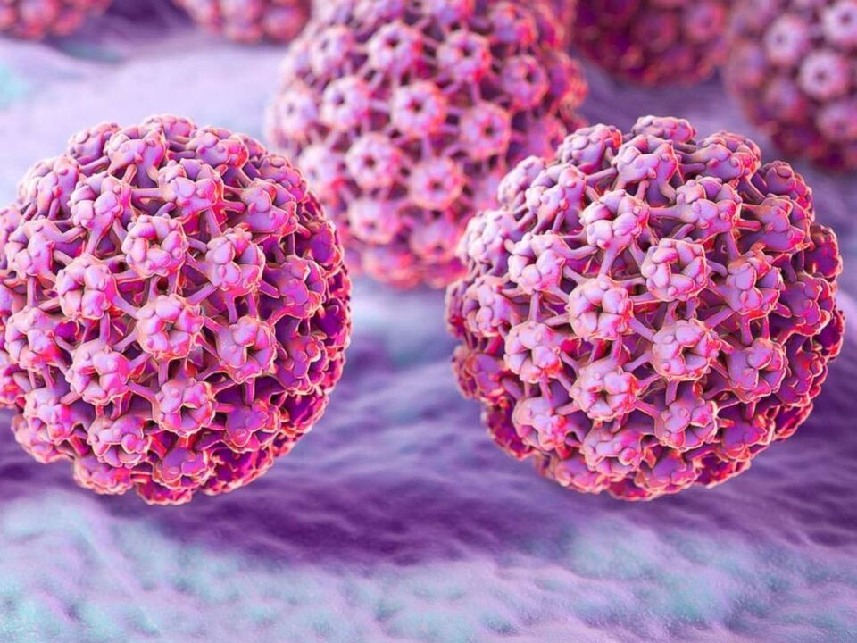 Classification of Papilloma Viruses
